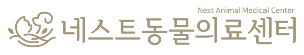 네스트동물의료센터